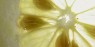 Nuove piante dai semi di frutta e verdura – parte 1 713 0 039 Nuove piante dai semi di frutta e verdura 1